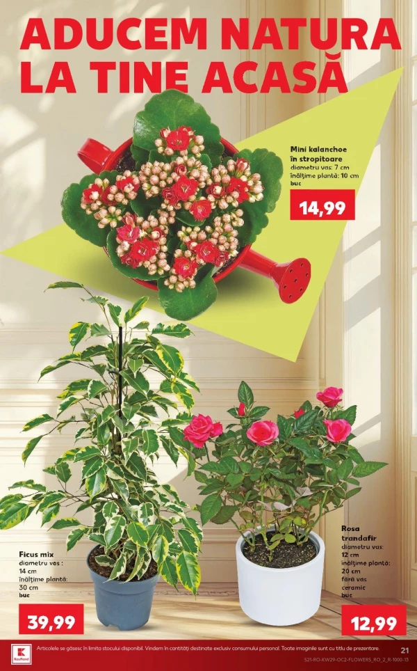 Catalog Kaufland - Catalogul cu reduceri, pagina 21: reduceri și oferte 15 - 21 iulie 2026
