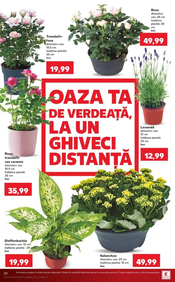 Catalog Kaufland - Catalogul cu reduceri, pagina 20: reduceri și oferte 15 - 21 iulie 2026