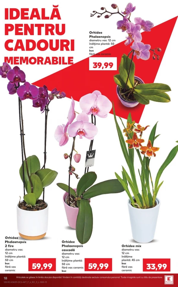 Catalog Kaufland - Catalogul cu reduceri, pagina 18: reduceri și oferte 15 - 21 iulie 2026