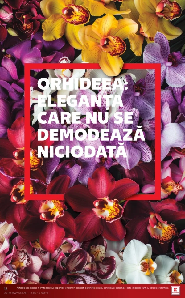 Catalog Kaufland - Catalogul cu reduceri, pagina 16: reduceri și oferte 15 - 21 iulie 2026