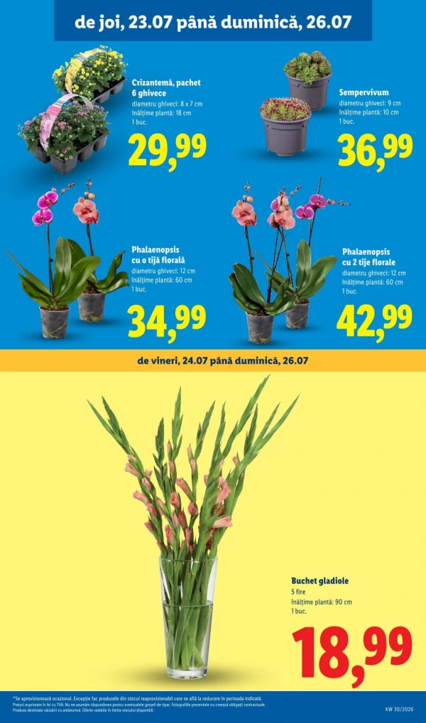 Каталог Lidl - Каталог скидок, страница 55: скидки и акции 20 - 26 июля 2026