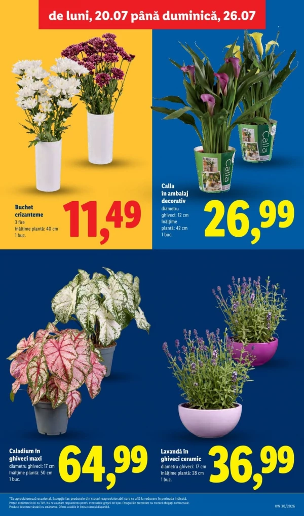 Каталог Lidl - Каталог скидок, страница 53: скидки и акции 20 - 26 июля 2026