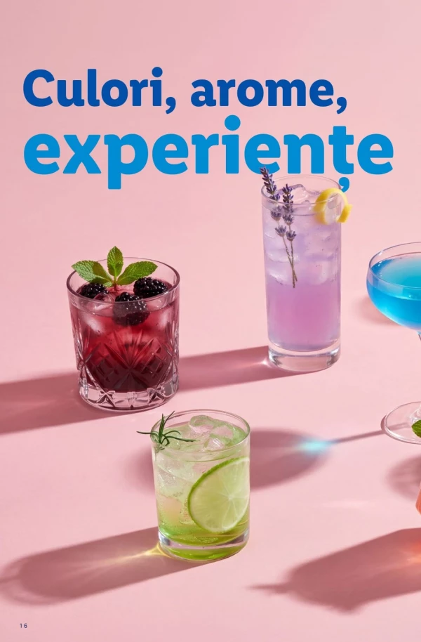 Catalog Lidl - Catalog de cocktailuri, pagina 16: reduceri și oferte 13 iulie - 13 septembrie 2026