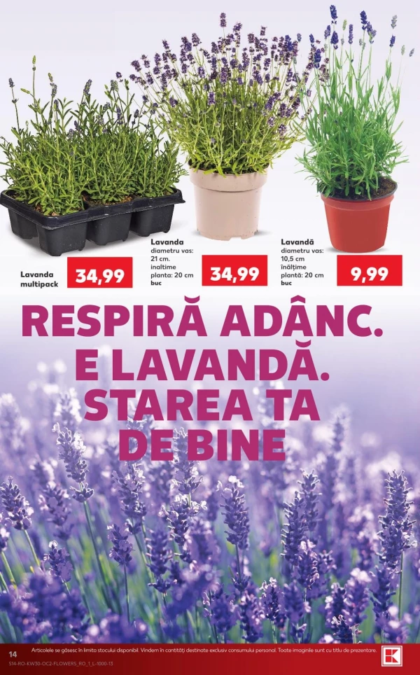 Catalog Kaufland - Catalogul cu reduceri, pagina 14: reduceri și oferte 22 - 28 iulie 2026