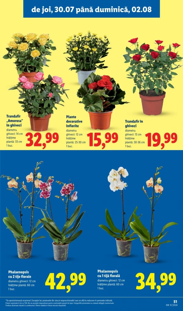 Каталог Lidl - Каталог скидок, страница 51: скидки и акции 27 июля - 02 августа 2026