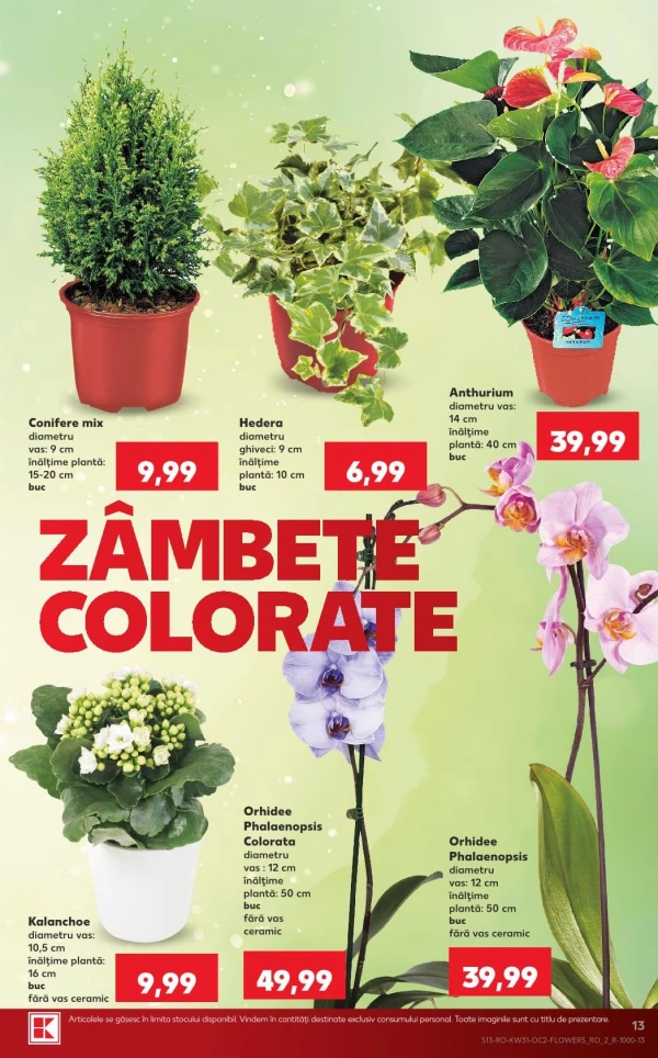 Catalog Kaufland - Catalogul cu reduceri, pagina 13: reduceri și oferte 29 iulie - 04 august 2026