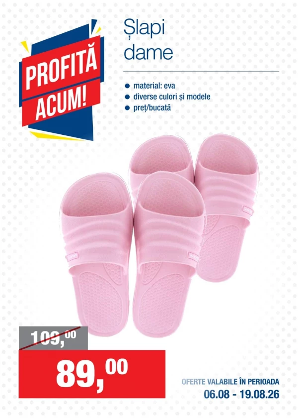 Catalog Metro - Profită Acum!, pagina 13: reduceri și oferte 06 - 19 august 2026