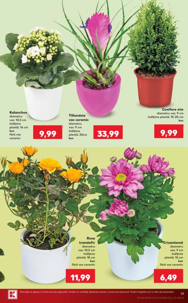 Catalog Kaufland - Catalogul cu reduceri, pagina 19: reduceri și oferte 12 - 18 august 2026