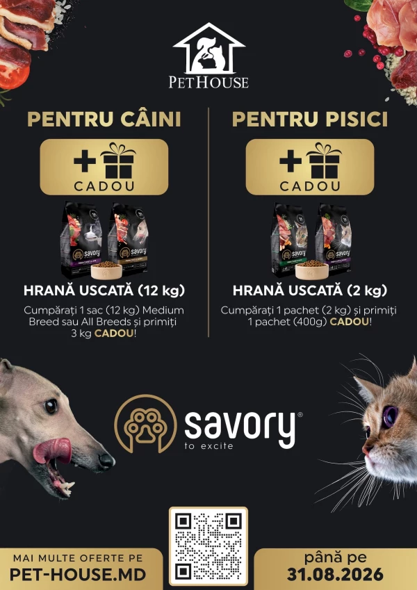 Oferta SAVORY