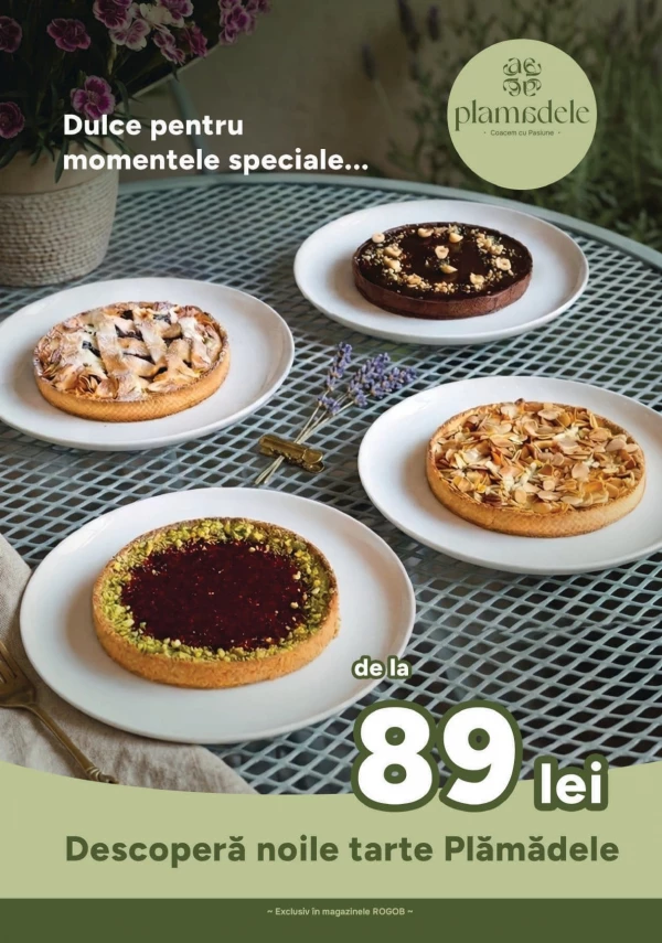 Catalog Rogob - Catalogul cu reduceri, pagina 8: reduceri și oferte 27 august - 09 septembrie 2026
