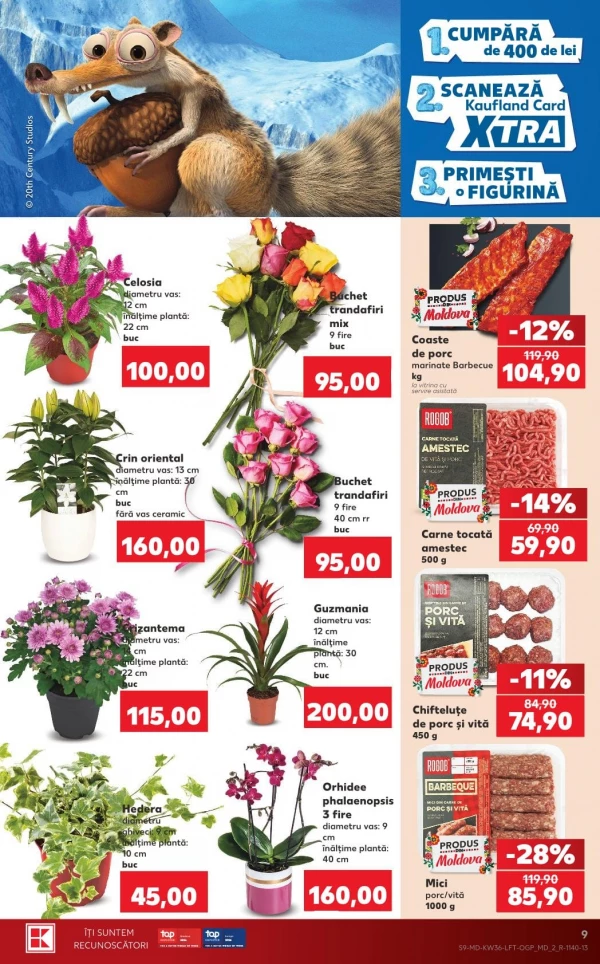 Catalog Kaufland - Catalogul cu reduceri, pagina 9: reduceri și oferte 3 – 9 septembrie 2026
