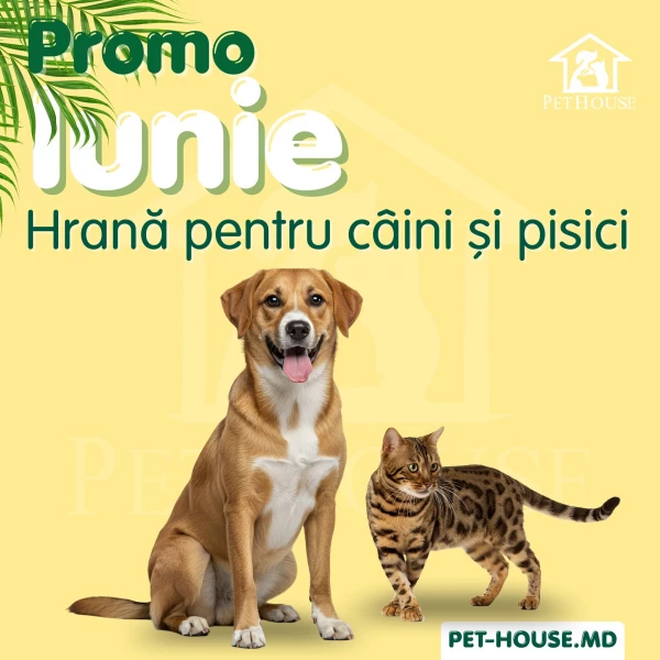 Catalogul cu reduceri