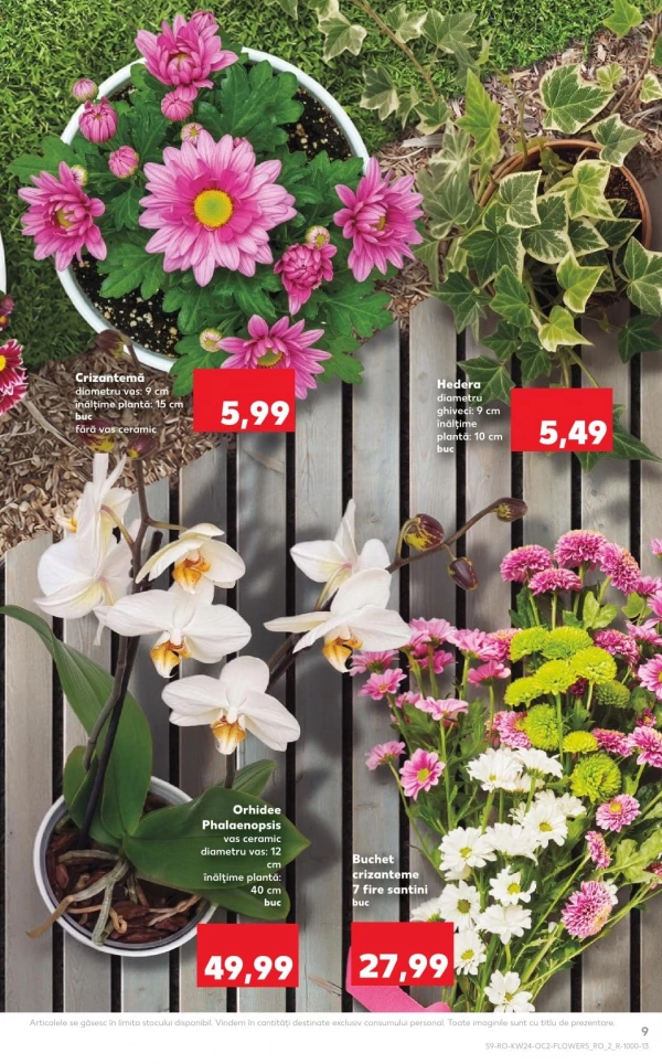 Catalog Kaufland - Catalogul cu reduceri, pagina 9: reduceri și oferte 10 - 16 iunie 2026