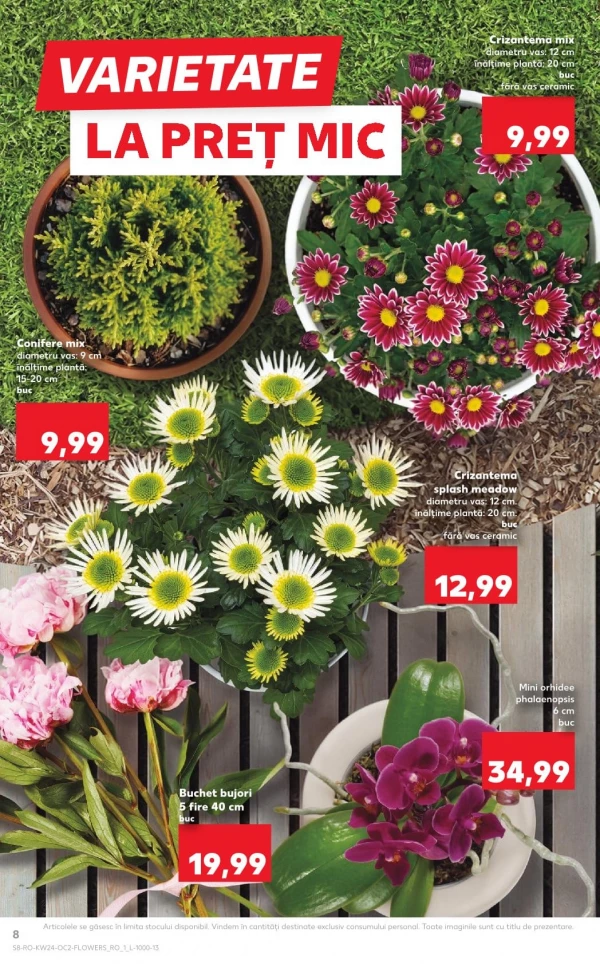 Catalog Kaufland - Catalogul cu reduceri, pagina 8: reduceri și oferte 10 - 16 iunie 2026
