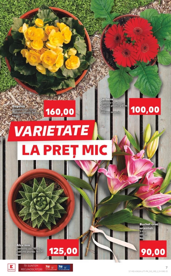 Catalog Kaufland - Catalogul cu reduceri, pagina 7: reduceri și oferte 11 - 17 iunie 2026