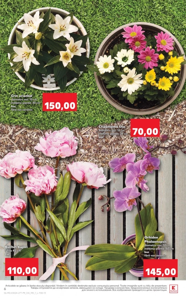 Catalog Kaufland - Catalogul cu reduceri, pagina 6: reduceri și oferte 11 - 17 iunie 2026
