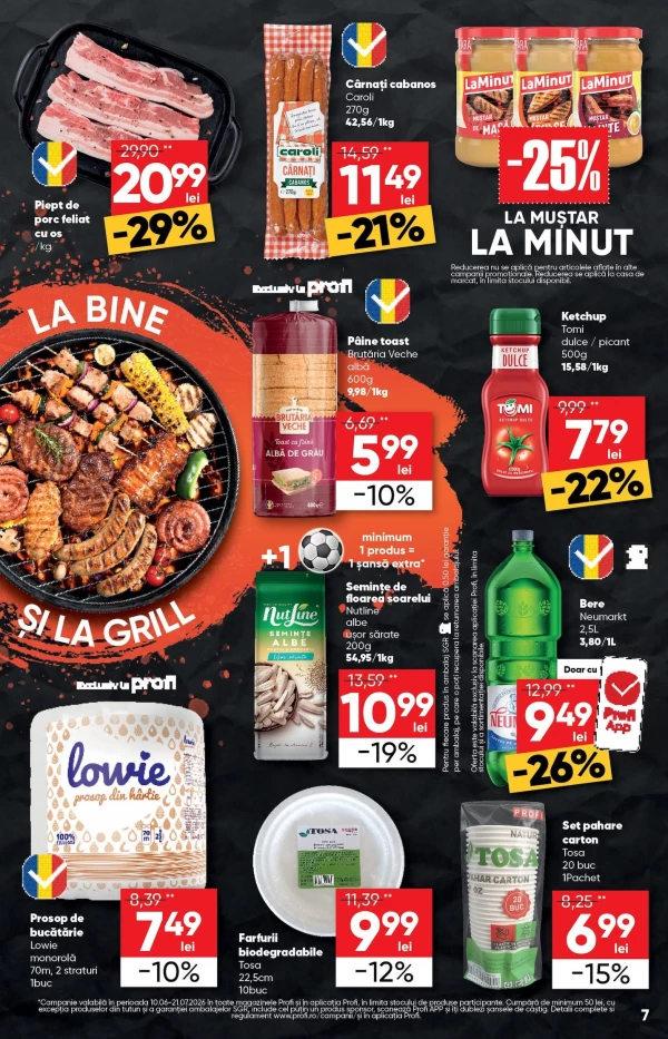 Catalog Profi - Catalogul cu reduceri, pagina 7: reduceri și oferte 10 - 21 iunie 2026