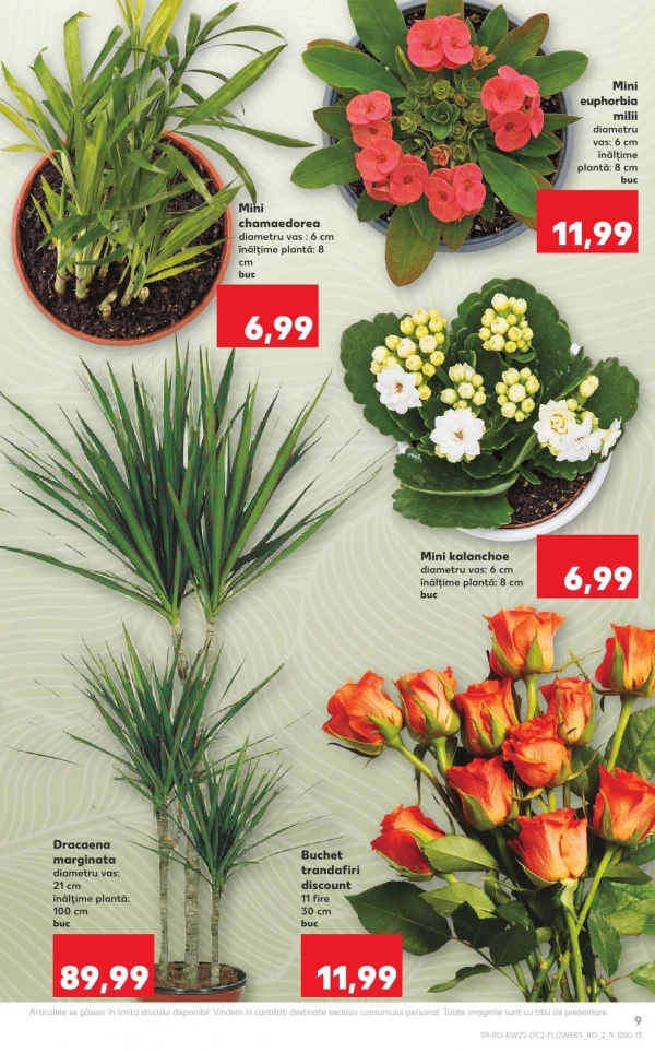 Catalog Kaufland - Catalogul cu reduceri, pagina 9: reduceri și oferte 17 - 23 iunie 2026