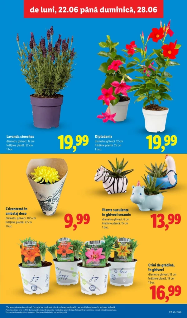 Каталог Lidl - Каталог скидок, страница 55: скидки и акции 22 - 28 июня 2026
