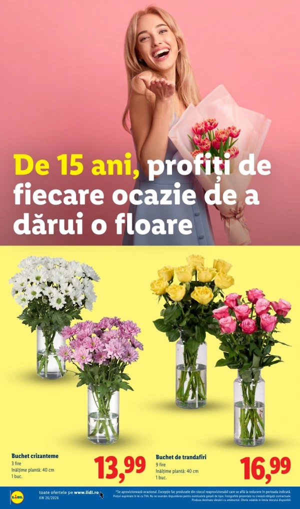 Каталог Lidl - Каталог скидок, страница 54: скидки и акции 22 - 28 июня 2026