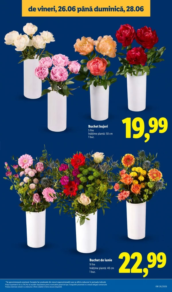 Каталог Lidl - Каталог скидок, страница 57: скидки и акции 22 - 28 июня 2026