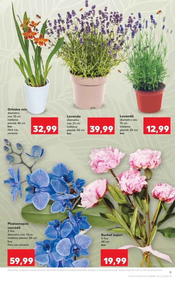 Catalog Kaufland - Catalogul cu reduceri, pagina 9: reduceri și oferte 24 - 30 iunie 2026