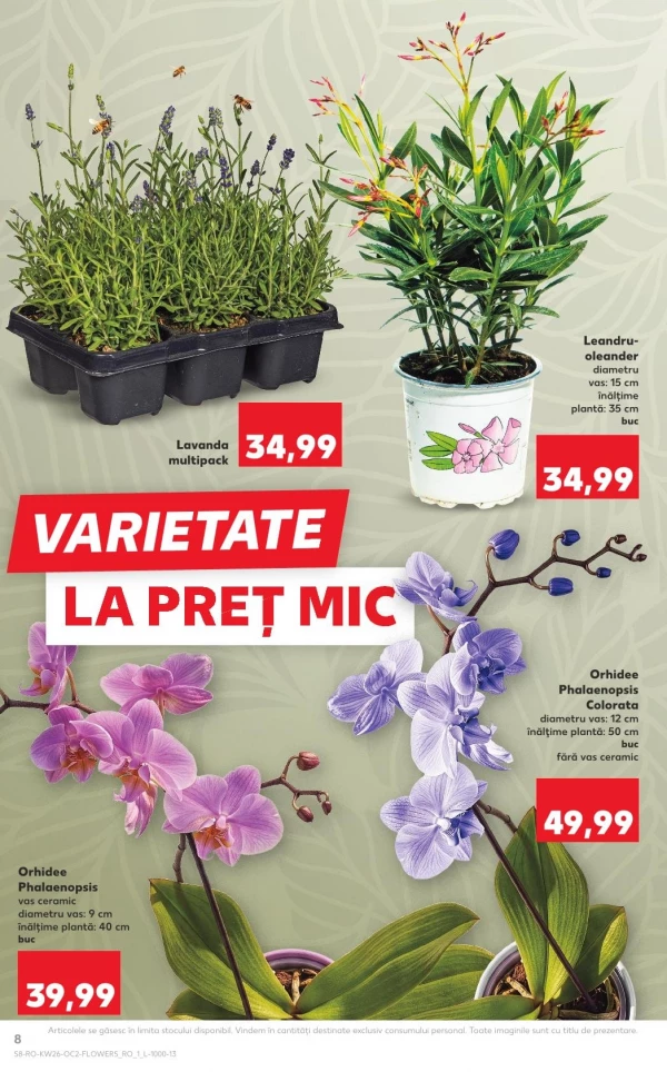 Catalog Kaufland - Catalogul cu reduceri, pagina 8: reduceri și oferte 24 - 30 iunie 2026