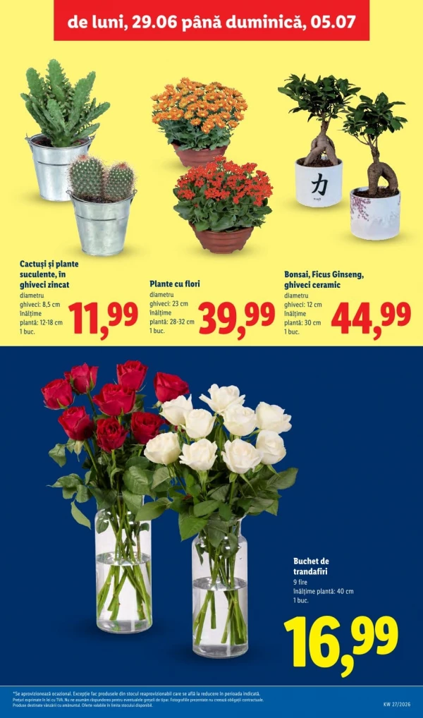 Каталог Lidl - Каталог скидок, страница 55: скидки и акции 29 июня - 05 июля 2026