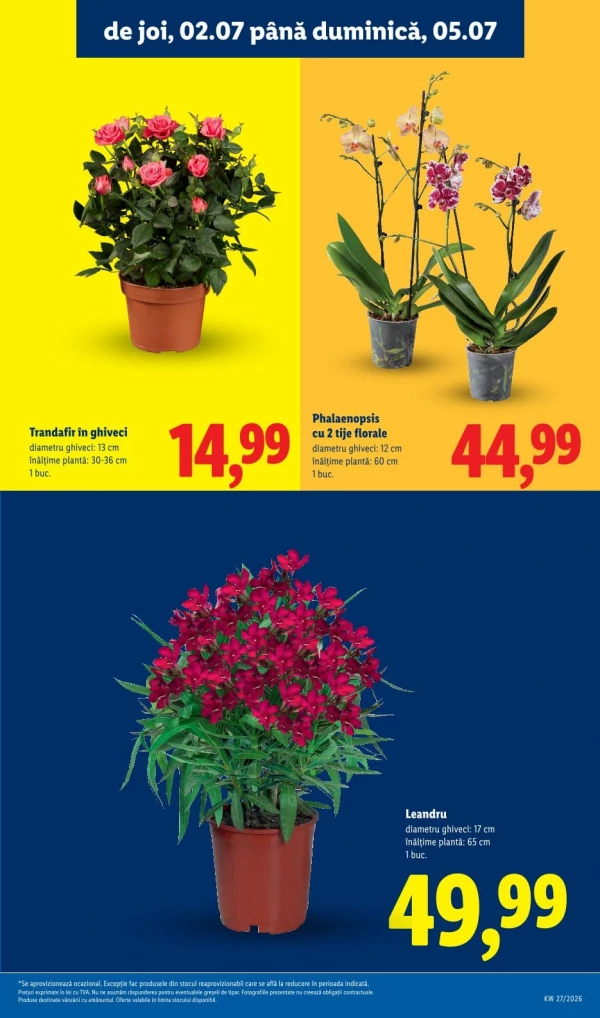 Каталог Lidl - Каталог скидок, страница 57: скидки и акции 29 июня - 05 июля 2026