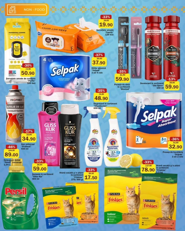 Catalog Family Market - Catalogul cu reduceri, pagina 13: reduceri și oferte 25 iunie - 08 iulie 2026