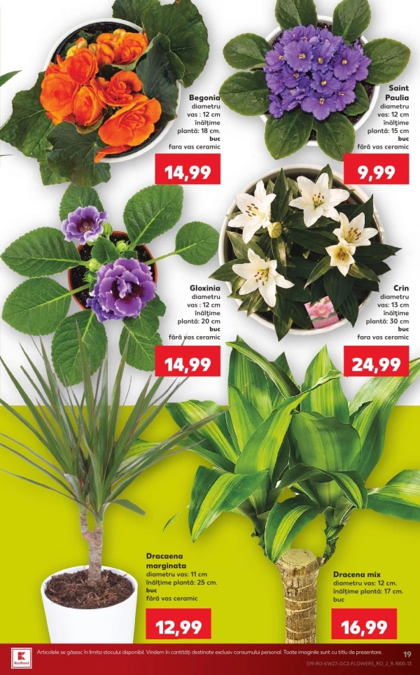 Catalog Kaufland - Catalogul cu reduceri, pagina 19: reduceri și oferte 01 - 07 iulie 2026