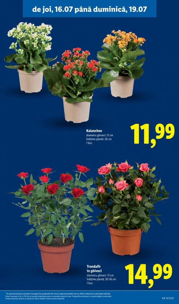Catalog Lidl - Catalogul cu reduceri, pagina 59: reduceri și oferte 13 - 19 iulie 2026