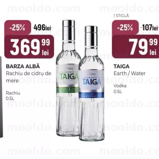 TAIGA Earth / Water