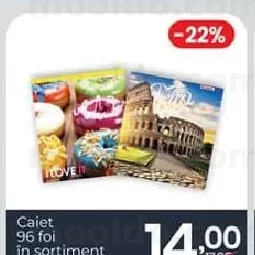 Caiet 96 foi in sortiment