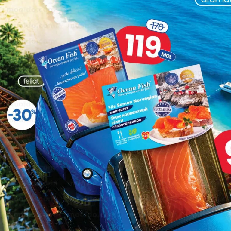 File de somon Ocean Fish