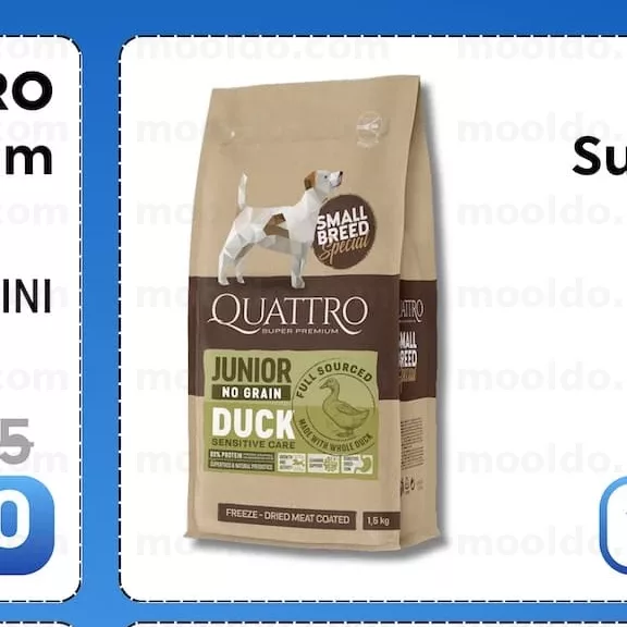 QUATTRO Super Premium RAȚĂ / MINI 1.5 kg