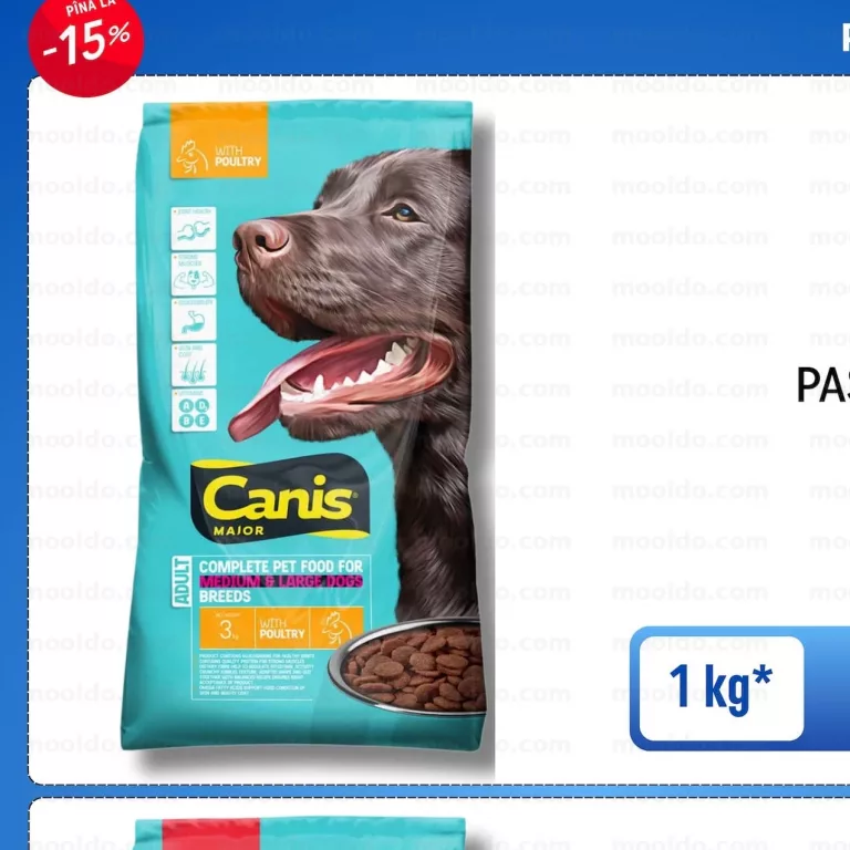 CANIS Major PASĂRE / ADULT