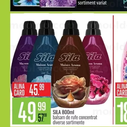 SILA 800ml balsam de rufe concentrat diverse sortimente