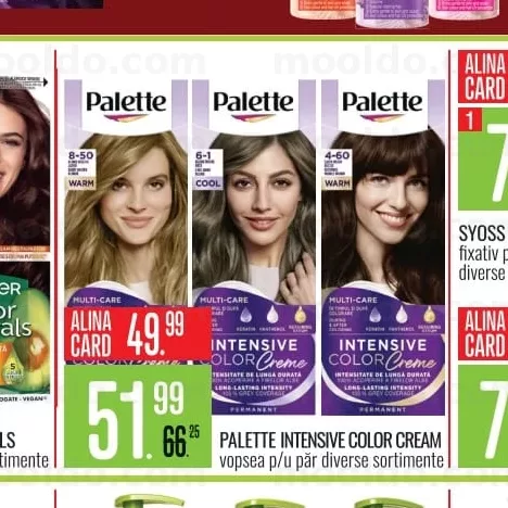PALETTE INTENSIVE COLOR CREAM vopsea p/u păr diverse sortimente