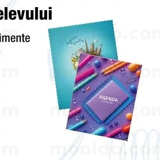 Agenda elevului