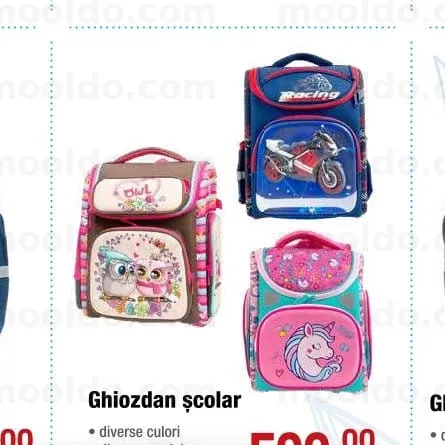 Ghiozdan școlar