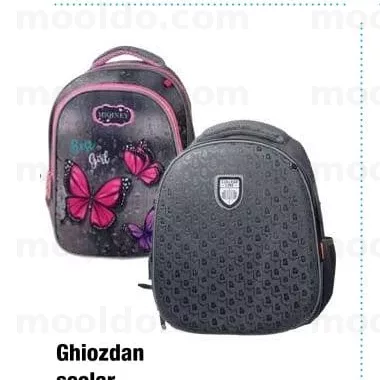 Ghiozdan școlar