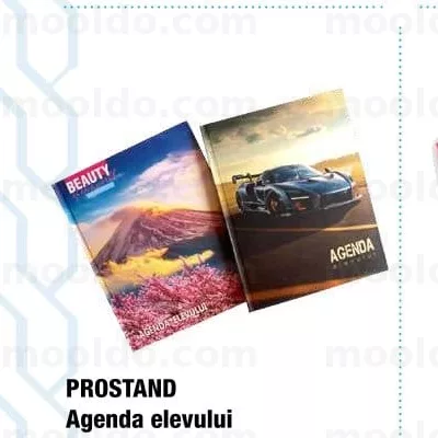 PROSTAND Agenda elevului