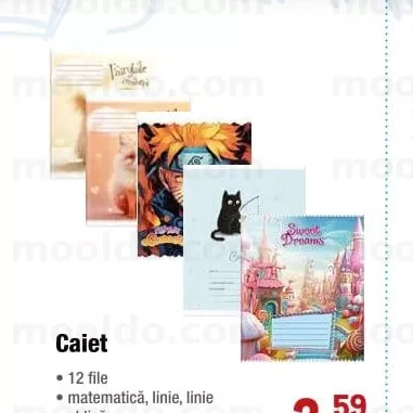 Caiet