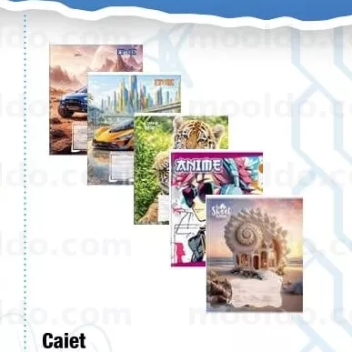 Caiet