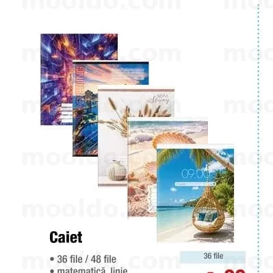 Caiet 36 file