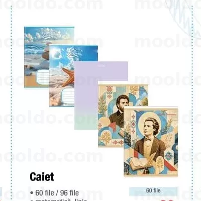 Caiet 60 file