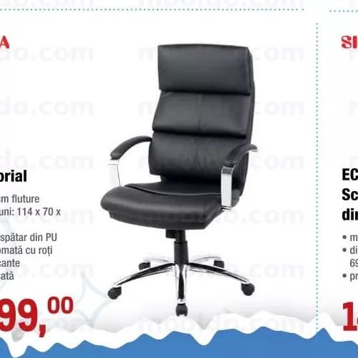 Scaun directorial EC 10