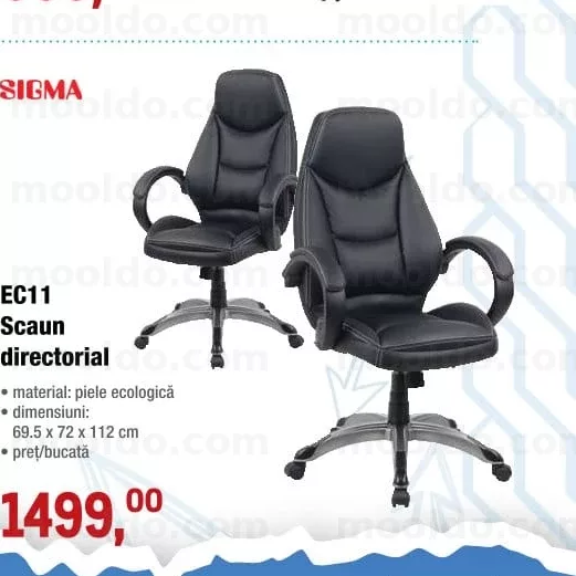 Scaun directorial EC11
