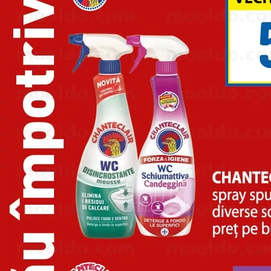 CHANTECLAIR 625 ml spray spumă WC diverse sortimente